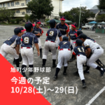旭町少年野球部・旭町矢部四連合 今週の予定 | 2023年10月28日(土)～29日(日)