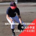 旭町少年野球部・旭町矢部四連合 今週の予定 | 2024年2月10日(土)～11日(日)