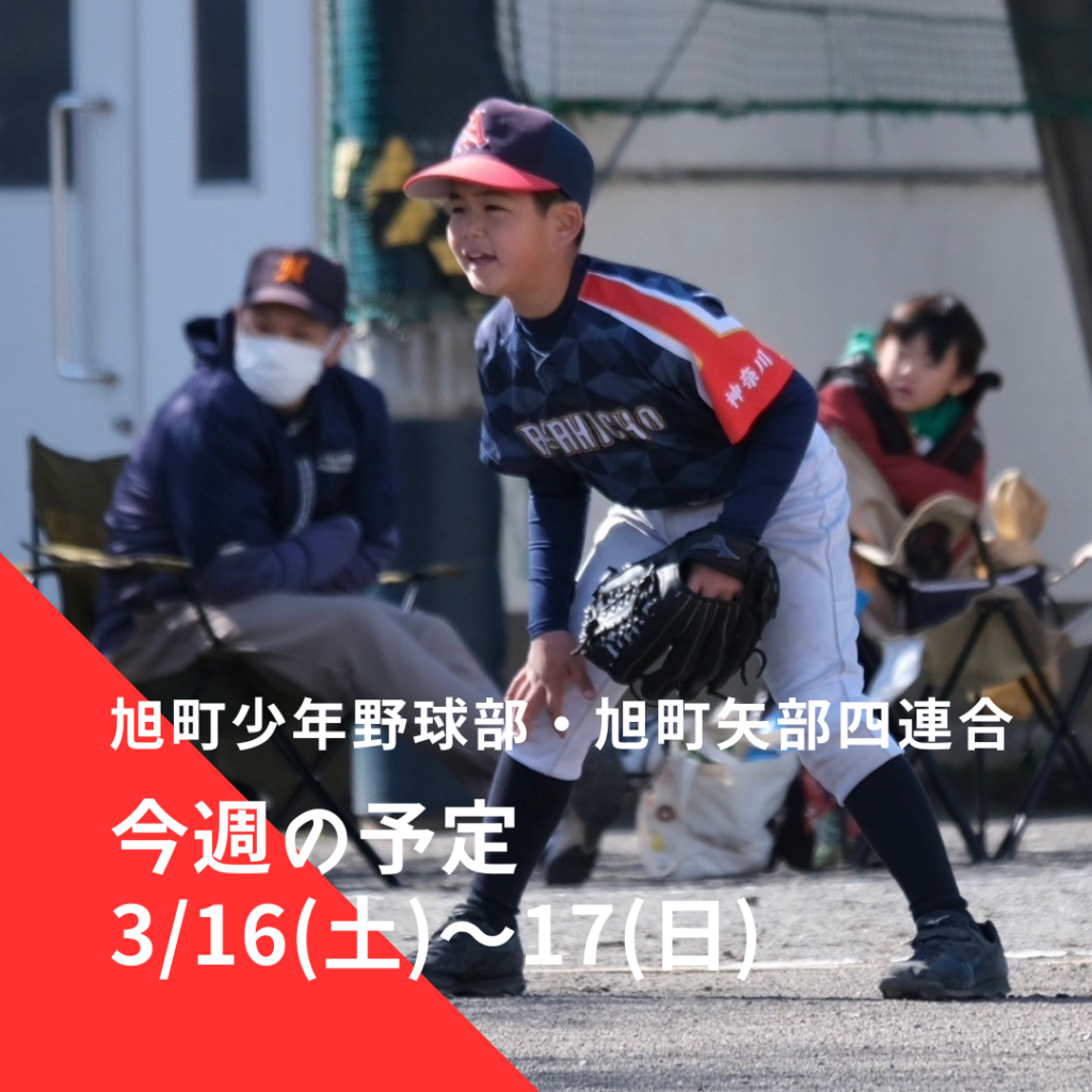 旭町少年野球部・旭町矢部四連合 今週の予定 | 2024年3月16日(土)～17日(日)