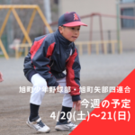 旭町少年野球部・旭町矢部四連合 今週の予定 | 2024年4月20日(土)～21日(日)